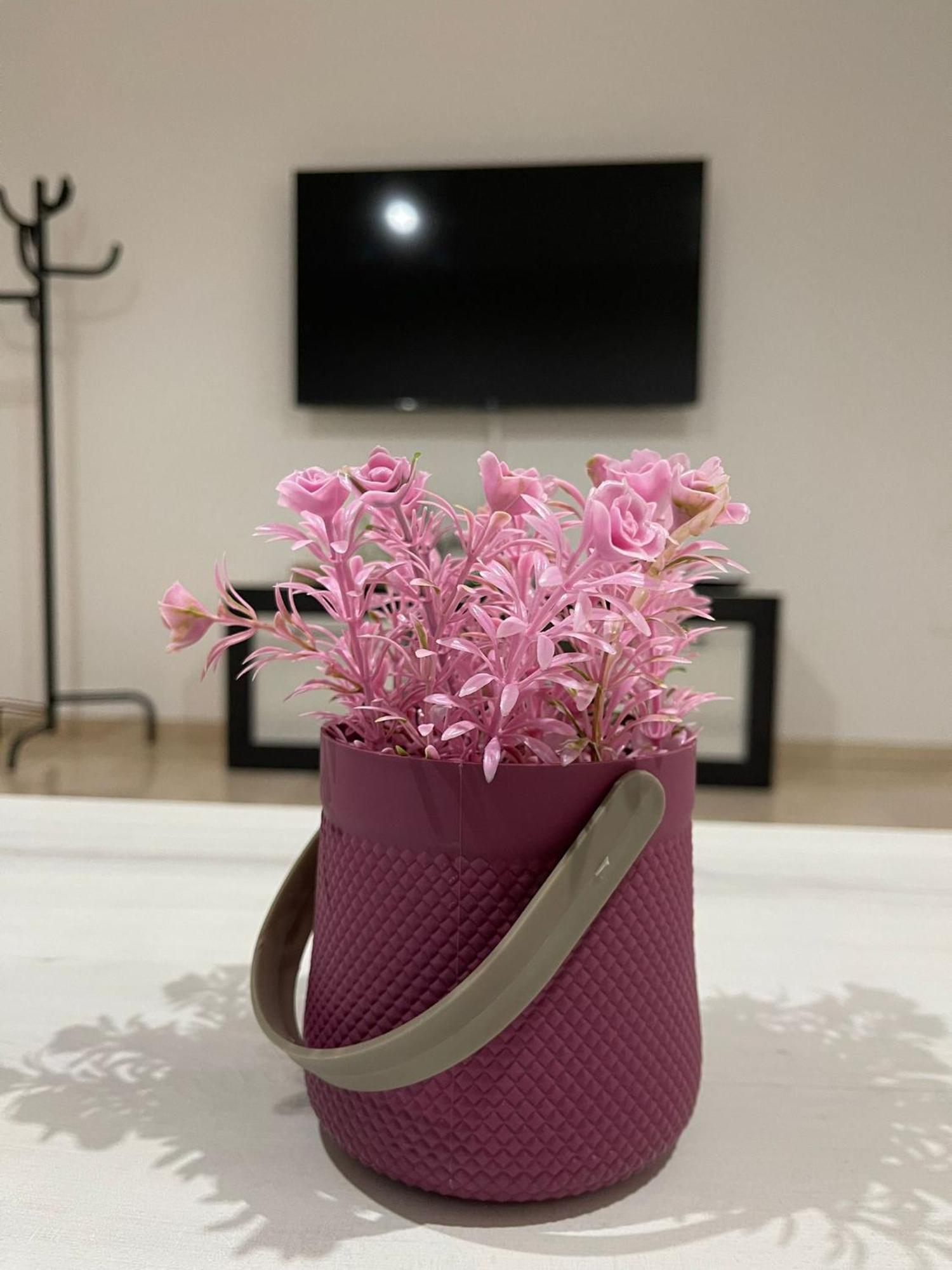 Apartamentos Cayla Sanlucar de Barrameda Luaran gambar